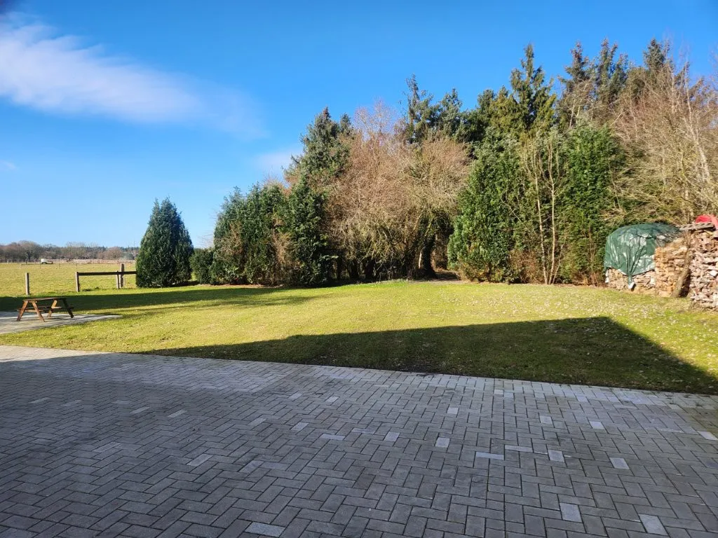 Eine grüne Wiese mit einem kleinen Wald im Hintergrund